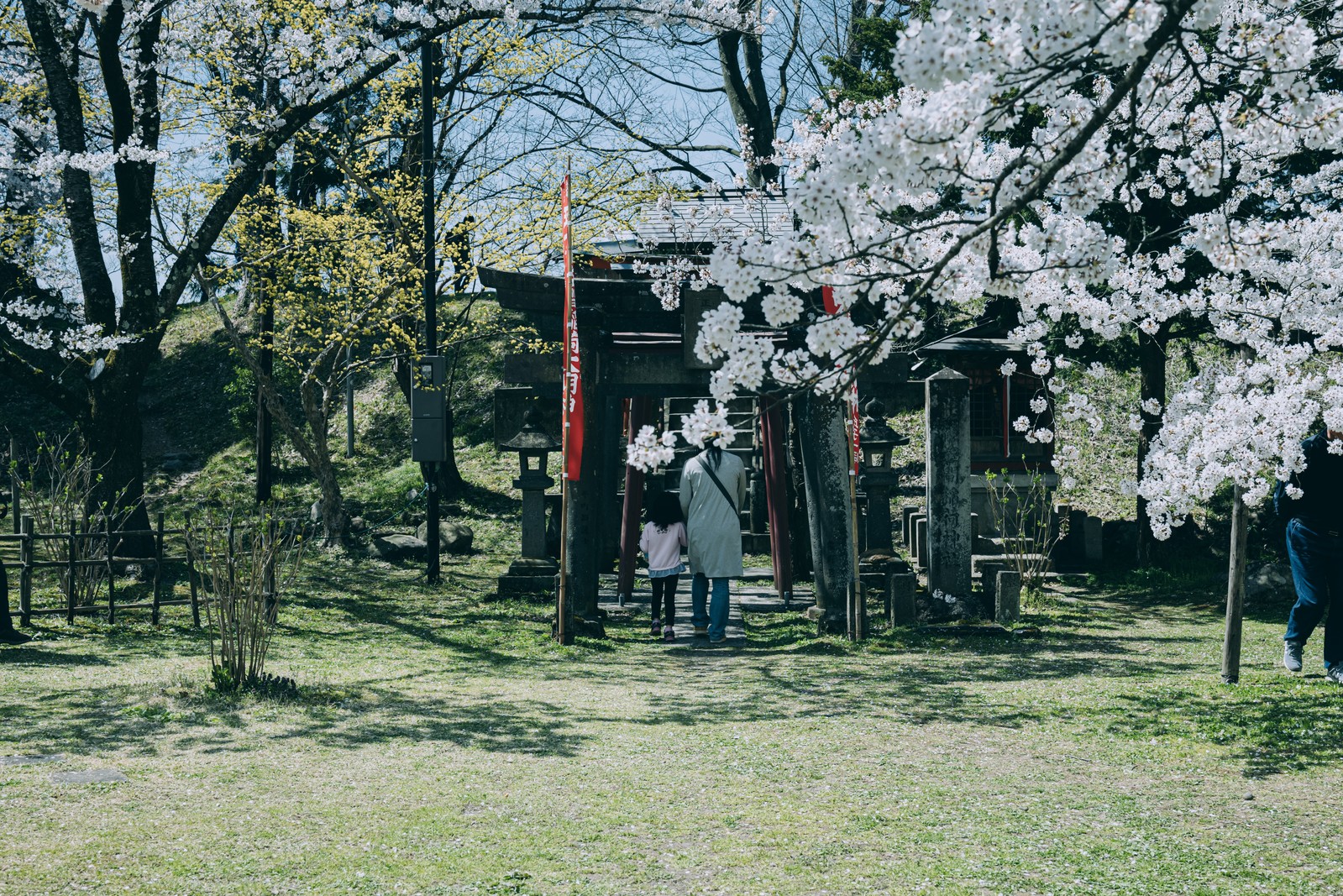 寄居町で秋の紅葉を楽しみたい!おすすめスポット3選 - ヨリママ通信